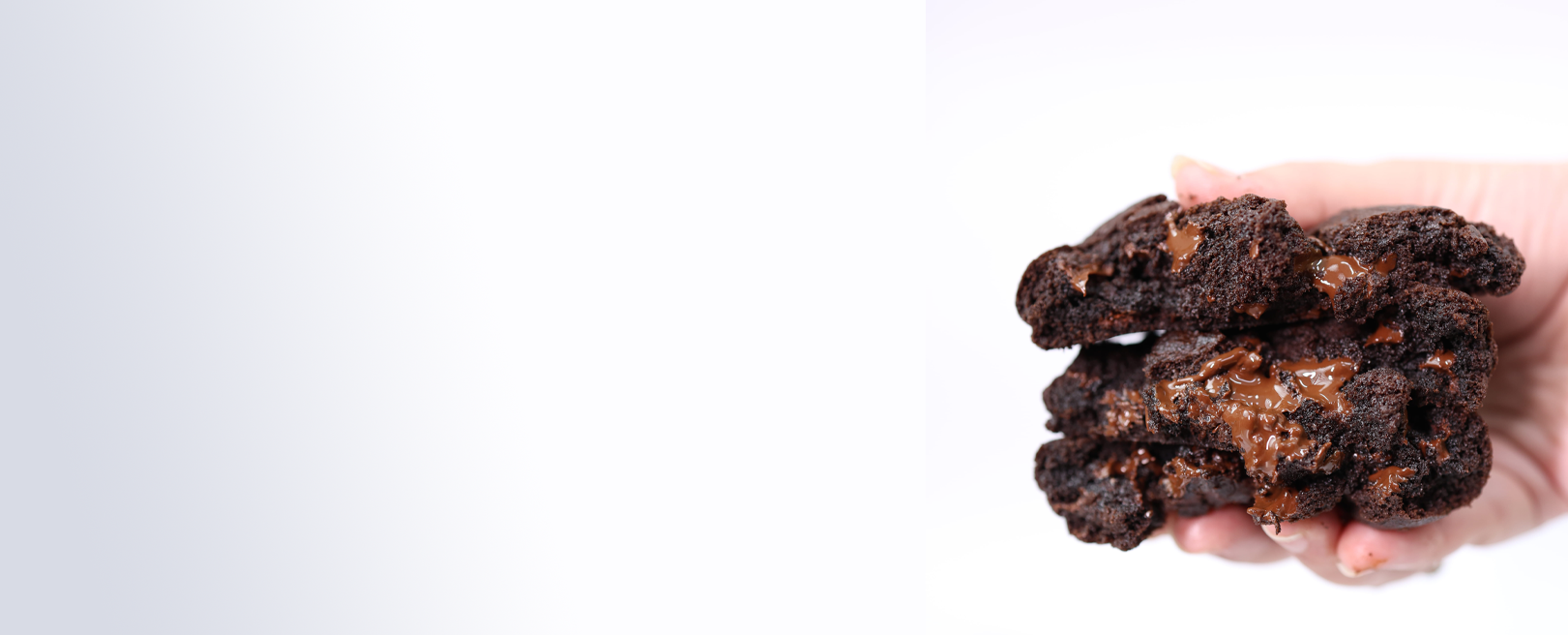slider image 16231213304c742b47-1